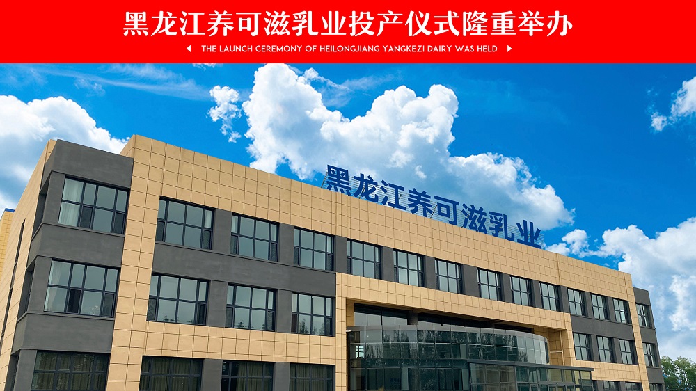 大慶市大同區區委區政府四大班子領導參加，黑龍江養可滋乳業投產儀式隆重舉辦
